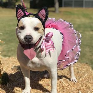 Meet your Posher, Sheryl